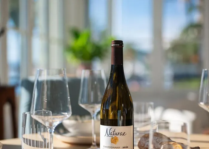 アパート Le Lumina Front De Clim マントン